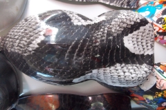 55575815_2349866158358348_2379869592353767424_n