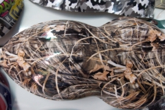 55795295_2349865461691751_7346491819791745024_n